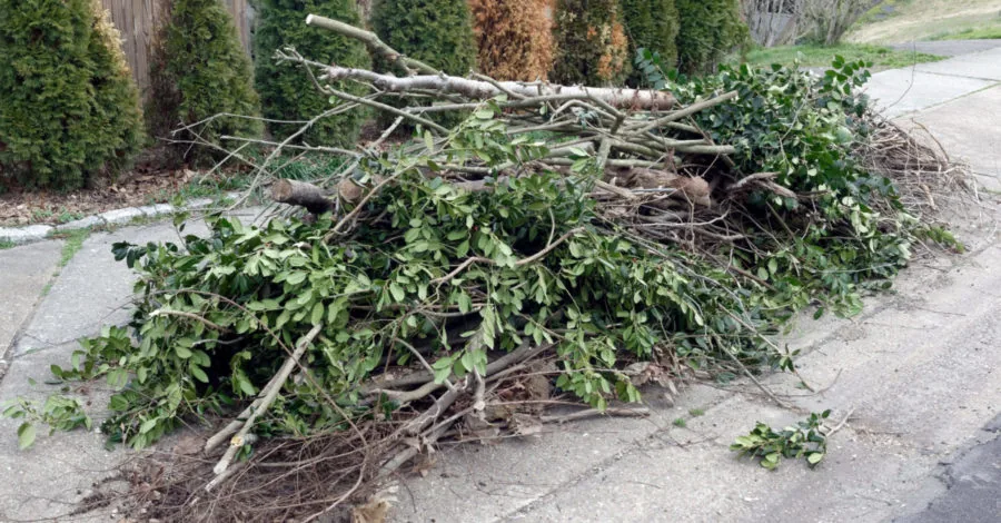 Yard debris