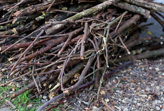 Yard debris