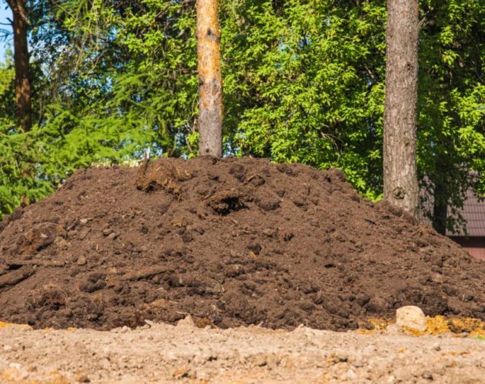 Dirt