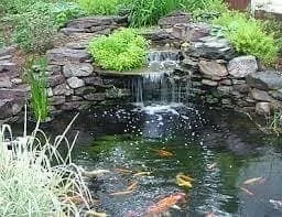 Pools & water features — photograph 8