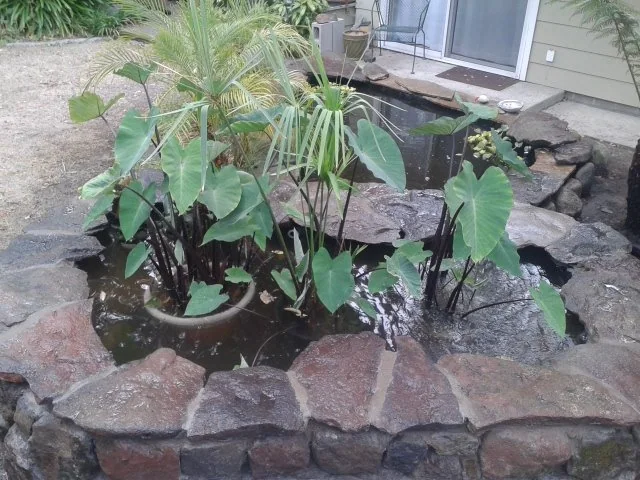 Pools & water features — photograph 13