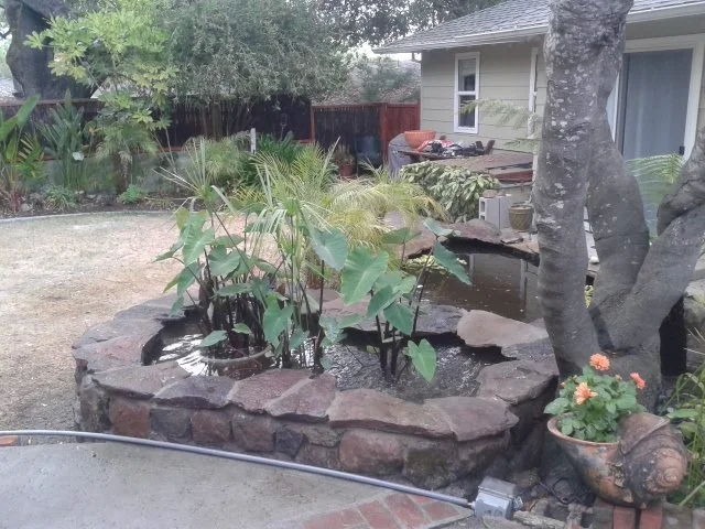 Pools & water features — photograph 14