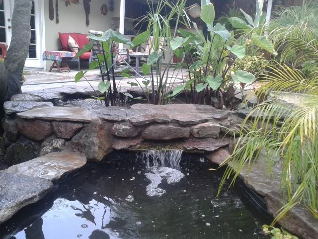 Pools & water features — photograph 15