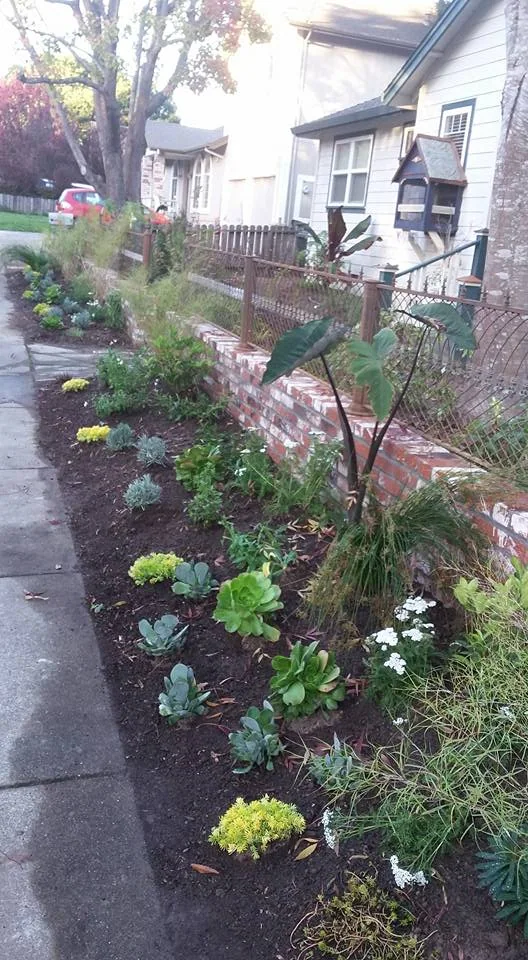 Retaining walls — photograph 7