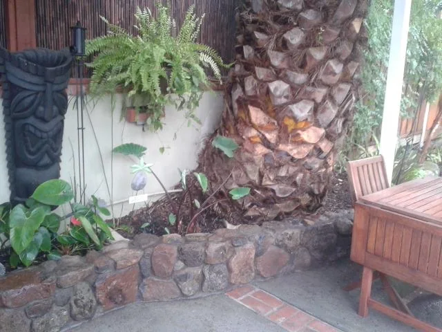 Planters & benches — photograph 3