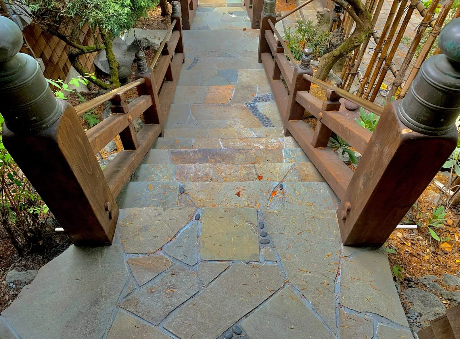 Steps — photograph 1