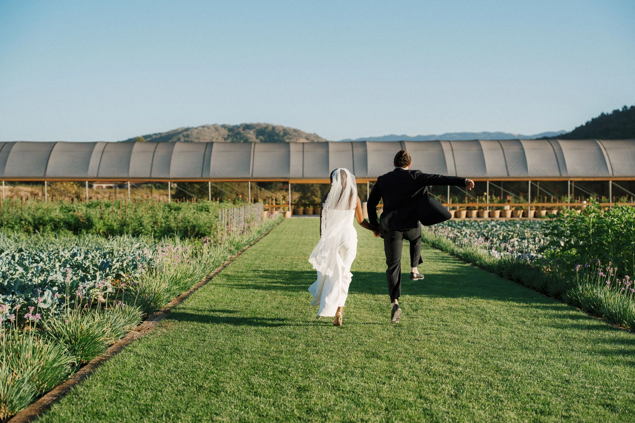 Mekaleya Tilahun and Raumin Neuville on the grounds of MOHI Ranch in Morgan Hill, California, following their wedding ceremony on October 10, 2026