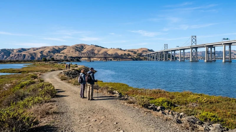 Scenic walking trail overlooking the blue Carquinez Strait water, restored tidal marshlands, and golden Contra Costa hills in Martinez California